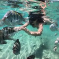 O que fazer em Porto Seguro - Recife de Fora