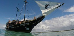 Especial Dia Das Crianças - Barco Pirata