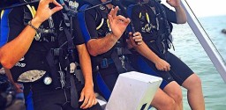 Mergulho De Batismo Em Porto Seguro