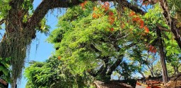 Passeio De Arraial D’ajuda
