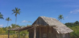 Passeio Em Trancoso C/ Fabrica De Chocolate 