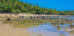 Passeio Na  Praia Do Espelho