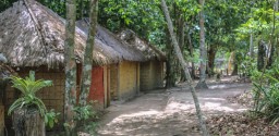 Passeio Vip Histórico