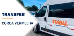  Transfer Coroa Vermelha 