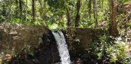 Floresta Dos Lagos