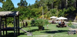 Floresta Dos Lagos