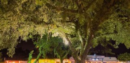 By Night Em Arraial D'ajuda