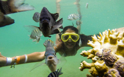 Mergulho em Porto Seguro: Guia Completo de Snorkel e Batismo 2026