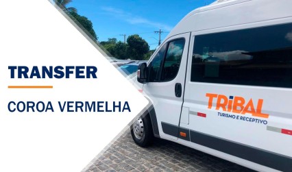  Transfer Coroa Vermelha 