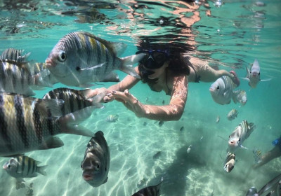 Parque Marinho Recife de Fora