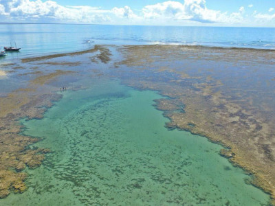 Parque Marinho Recife de Fora
