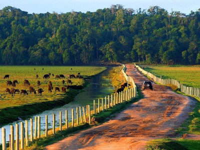 Passeio na  Praia do Espelho