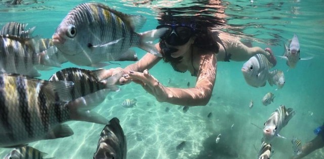 O que fazer em Porto Seguro - Recife de Fora