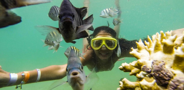 Mergulho em Porto Seguro: Guia Completo de Snorkel e Batismo 2026