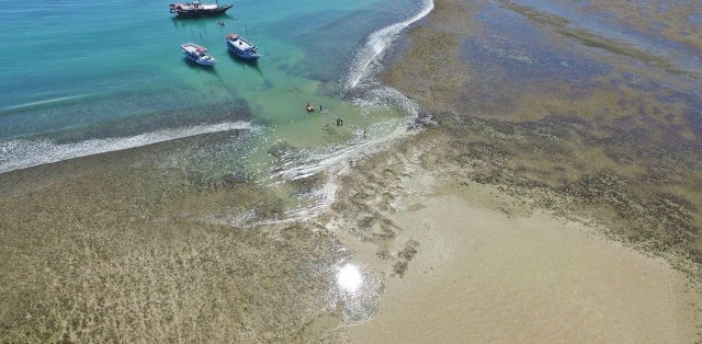 Parque Marinho Recife De Fora - Foto 1