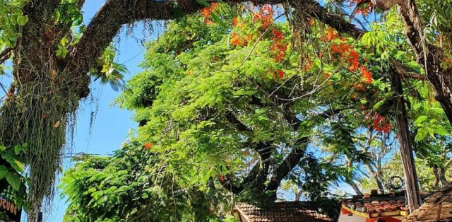 Passeio De Arraial D’ajuda - Foto 11