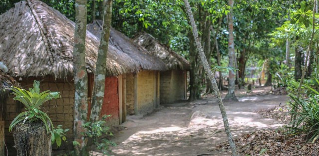 Passeio De Coroa Vermelha - Foto 0