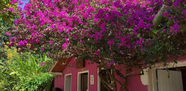 Passeio Em Trancoso C/ Fabrica De Chocolate  - Foto 4