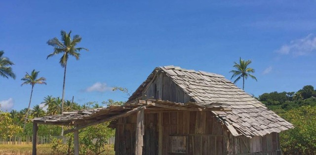 Passeio Em Trancoso C/ Fabrica De Chocolate  - Foto 8