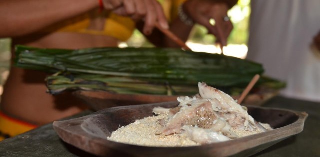 Reserva Jaqueira Com Tribo Indígena - Foto 8