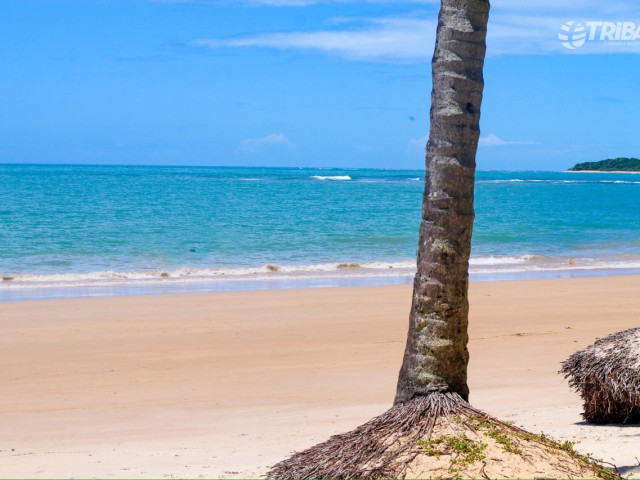Praias de Trancoso: Guia Completo das Melhores Praias em 2026