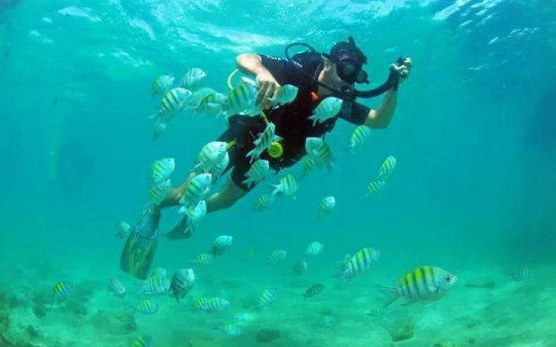 Mergulho de Batismo em Porto Seguro