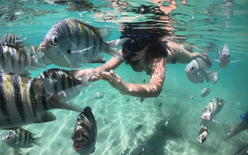 Parque Marinho Recife de Fora