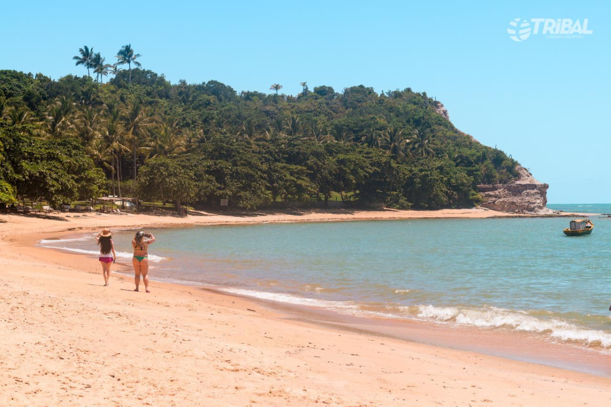 Praia do Espelho: Guia Completo da Praia Mais Bonita da Bahia