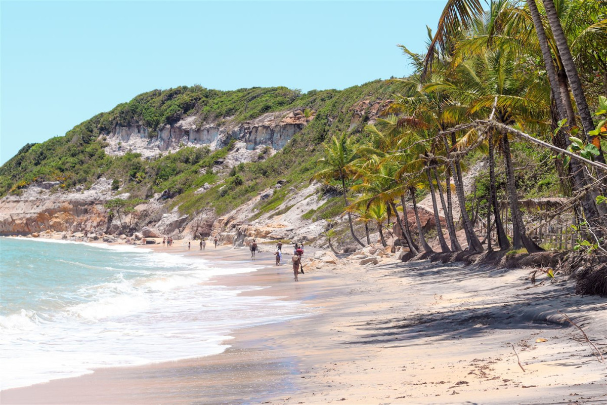 Praia com falésias e coqueiral na região do Guaiú