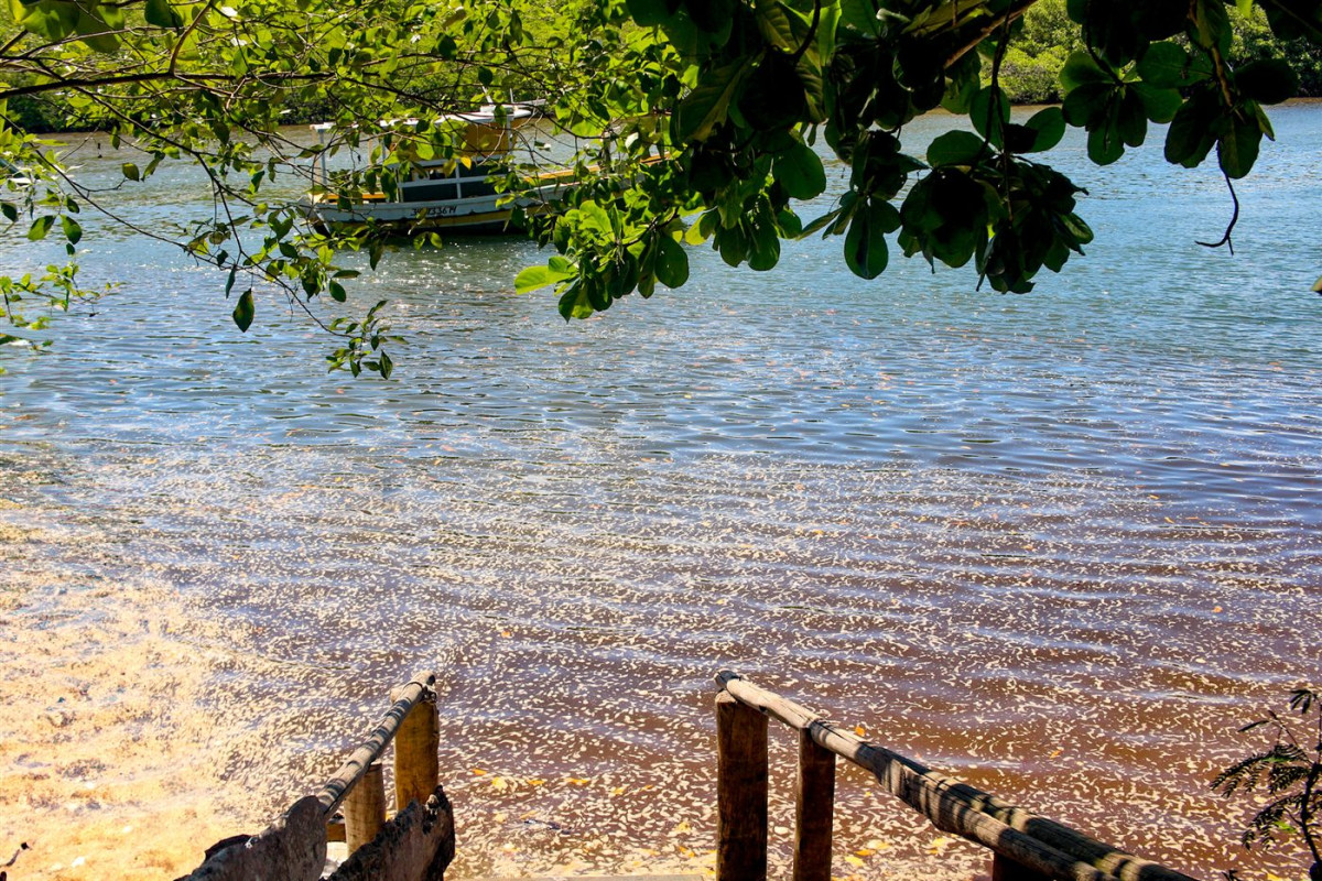 Barco no Rio Caraíva visto da escadaria de chegada da vila