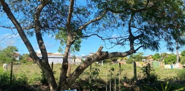 Paraíso Escondido Praia Do Guaiú C/ Visita Em Stº André - Foto 0 Paraíso Escondido Praia Do Guaiú C/ Visita Em Stº André - Foto 0