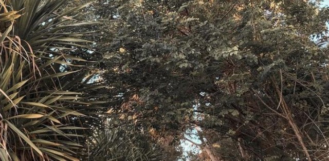 Paraíso Escondido Praia Do Guaiú C/ Visita Em Stº André - Foto 1 Paraíso Escondido Praia Do Guaiú C/ Visita Em Stº André - Foto 1