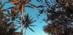Paraíso Escondido Praia Do Guaiú C/ Visita Em Stº André