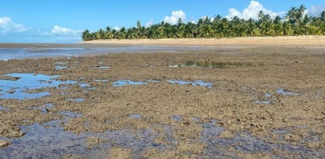 Paraíso Escondido Praia Do Guaiú C/ Visita Em Stº André - Foto 7 Paraíso Escondido Praia Do Guaiú C/ Visita Em Stº André - Foto 7