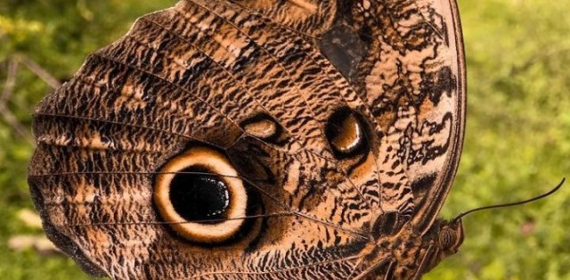 Paraíso Escondido Praia Do Guaiú C/ Visita Em Stº André - Foto 16 Paraíso Escondido Praia Do Guaiú C/ Visita Em Stº André - Foto 16