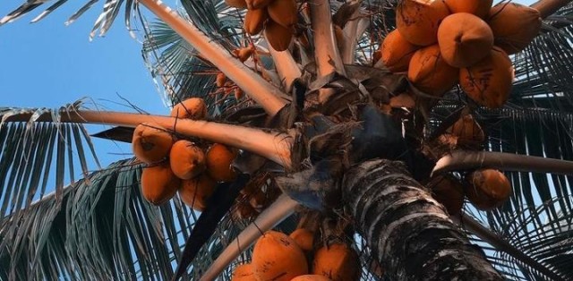 Paraíso Escondido Praia Do Guaiú C/ Visita Em Stº André - Foto 17 Paraíso Escondido Praia Do Guaiú C/ Visita Em Stº André - Foto 17