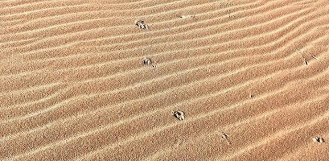 Paraíso Escondido Praia Do Guaiú C/ Visita Em Stº André - Foto 19 Paraíso Escondido Praia Do Guaiú C/ Visita Em Stº André - Foto 19