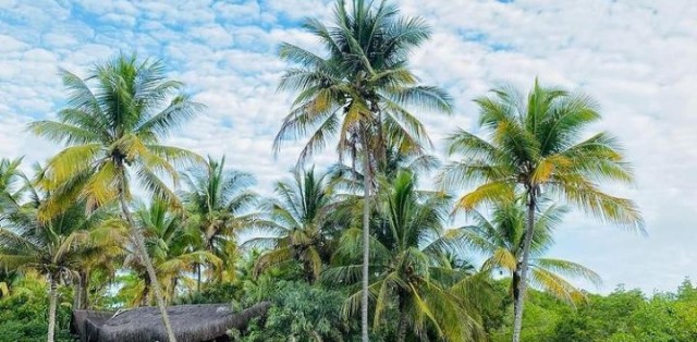 Paraíso Escondido Praia Do Guaiú C/ Visita Em Stº André - Foto 23 Paraíso Escondido Praia Do Guaiú C/ Visita Em Stº André - Foto 23