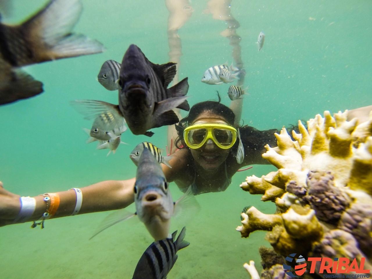 Mergulhador em piscina natural cristalina com peixes coloridos no Recife de Fora, Porto Seguro, Bahia