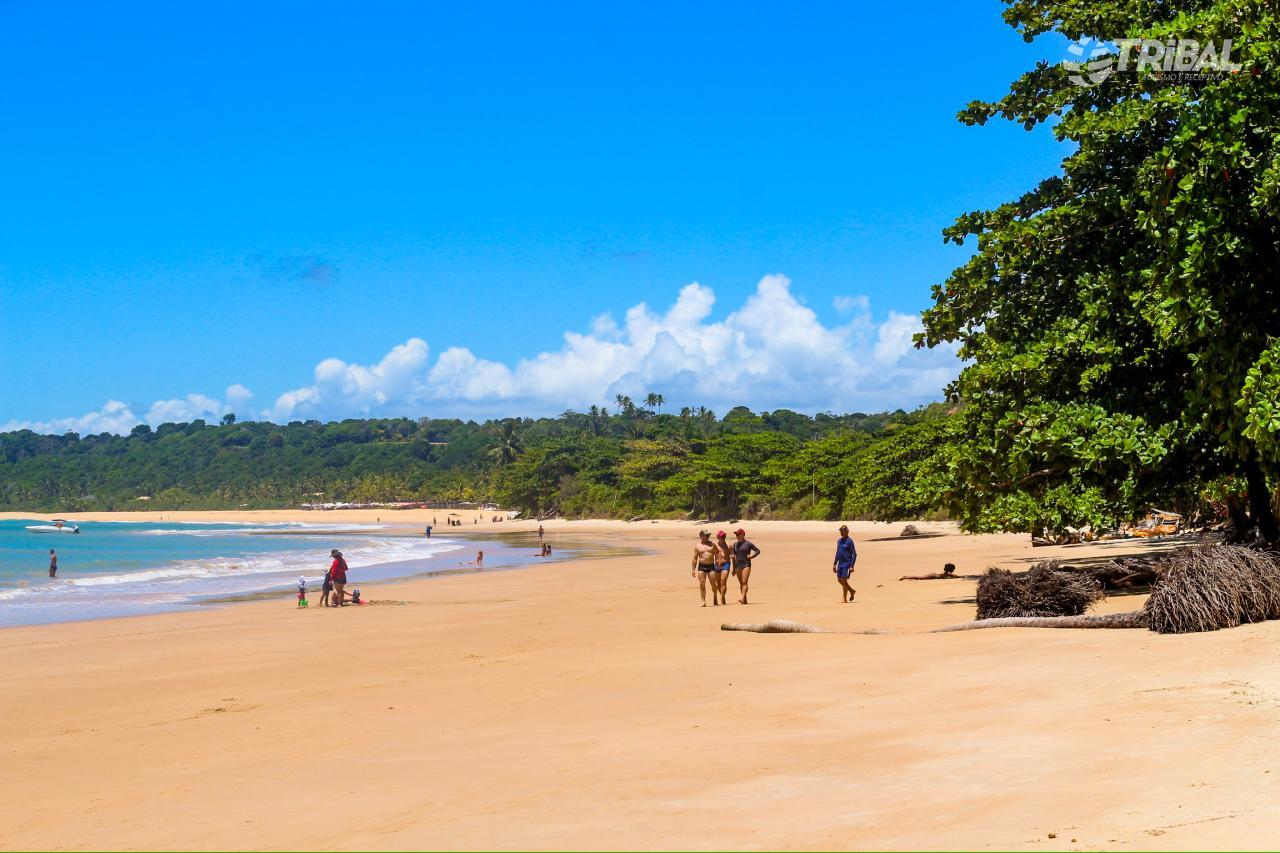 Praia dos Nativos em Trancoso com coqueiros e rio encontrando o mar azul, Bahia