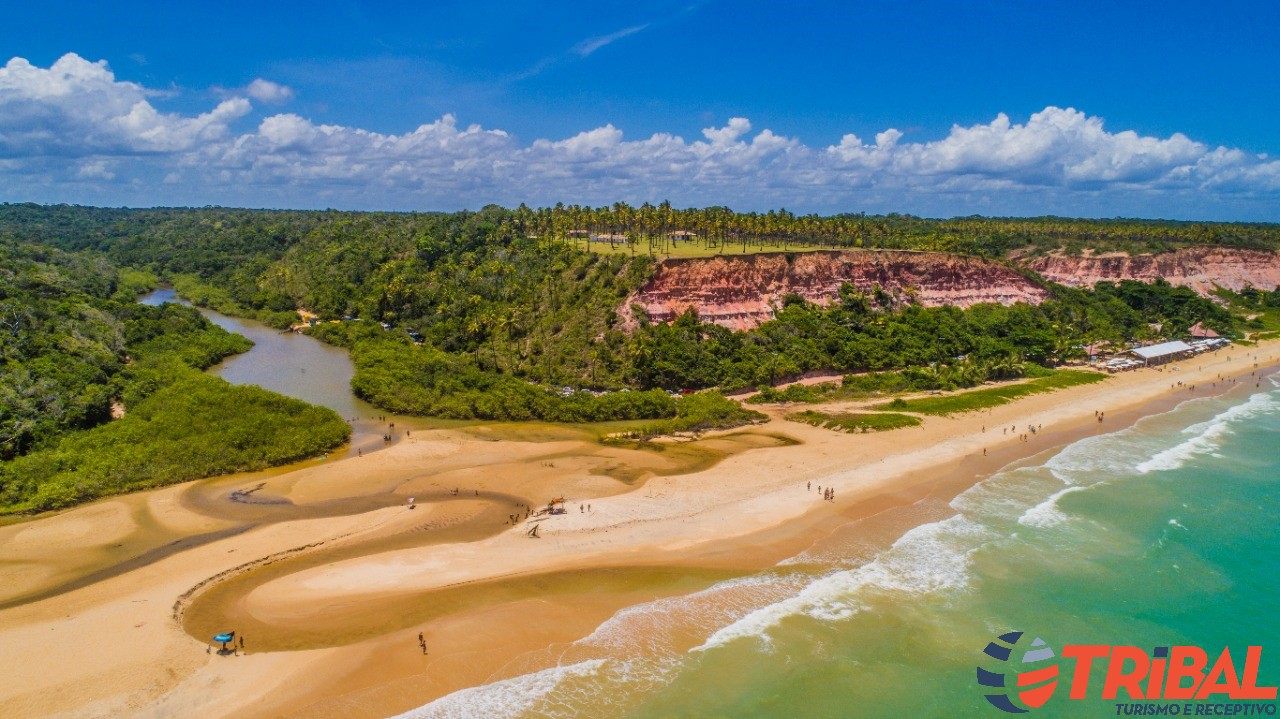 Vista aérea de praia com rio, falésias e coqueiral na Costa do Descobrimento