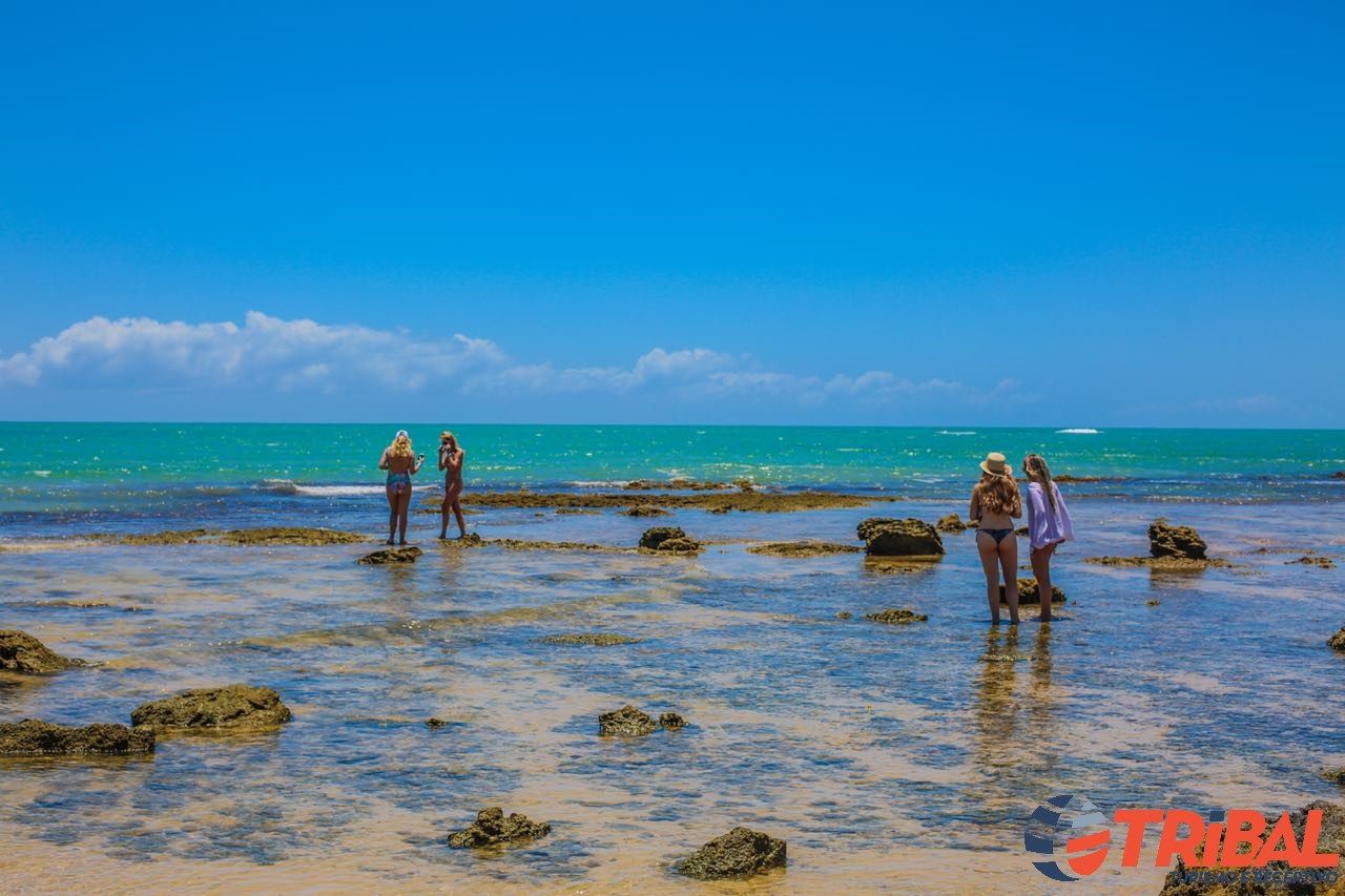 Piscinas naturais rasas com visitantes na maré baixa